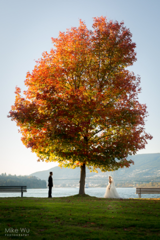 Vancouver, Wedding, tree, fall, autumn, tree, standing, love, beautiful, nature, landscape, newlyweds, lighthouse park, Stanley Park, natural, leaves, orange, earthy, warm, sunset, water, bench
