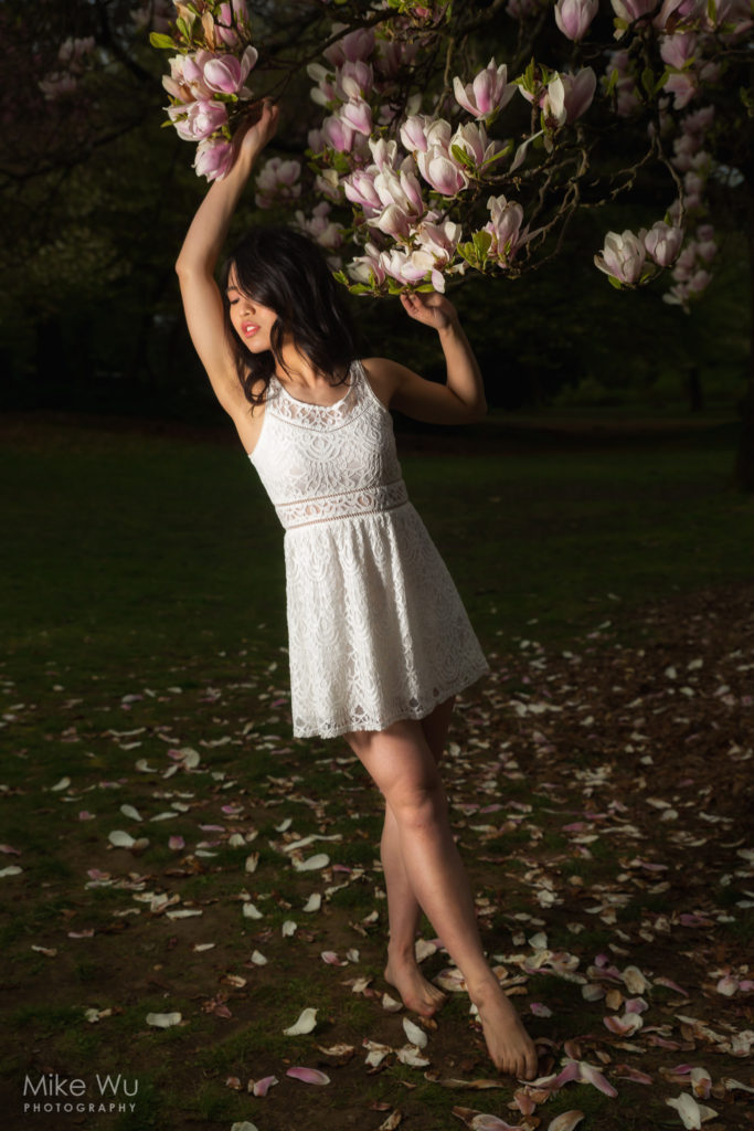Another break from cherry blossoms, this time with a magnolia tree. This photo was taken using a flash on HSS and softbox on camera left. Model Joanne Zhou