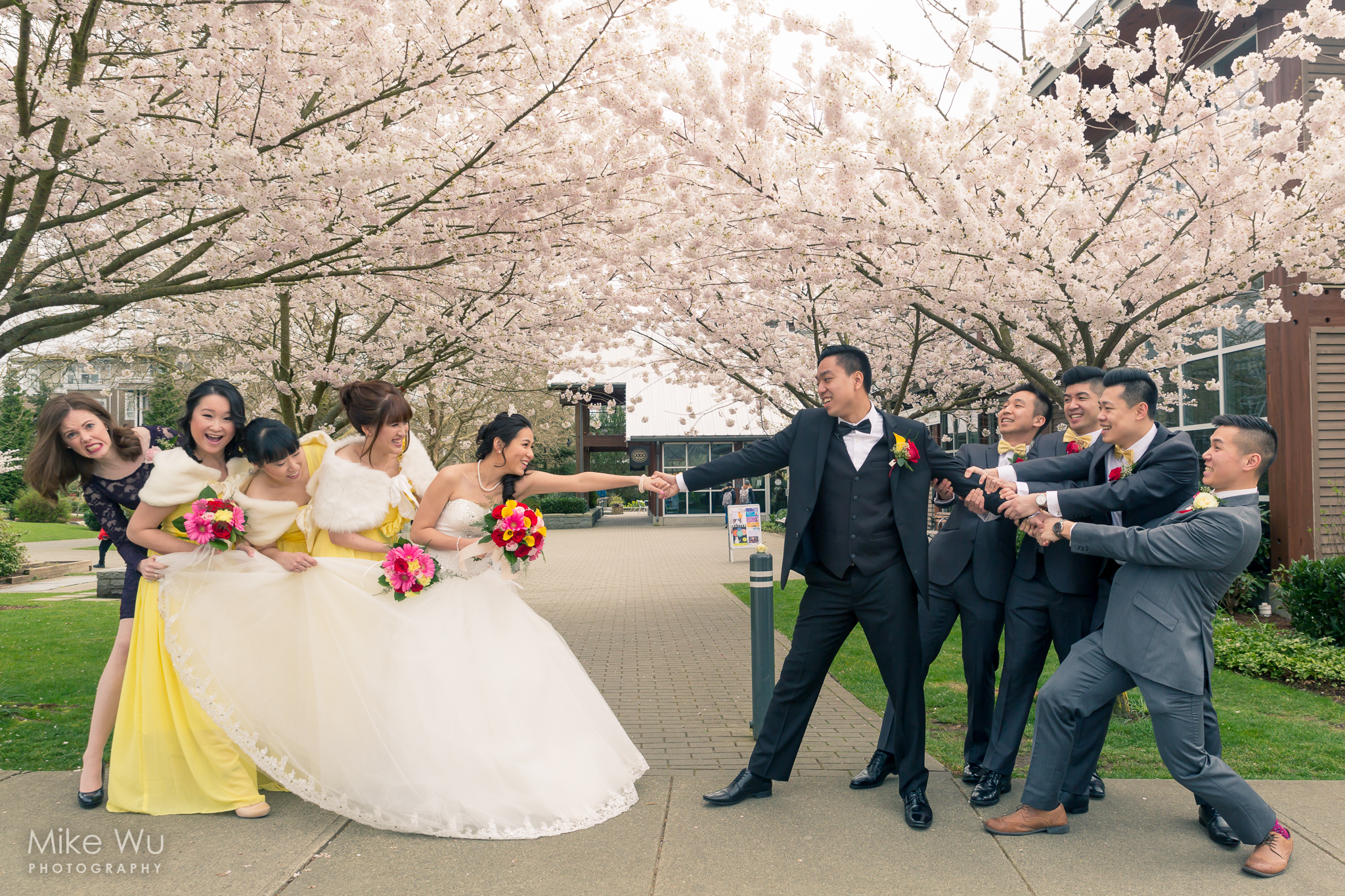 wedding, cherry blossoms, tug of war, groomsmen, bridesmaids, bride, groom, pull, love, vancouver wedding photographer, bridal party